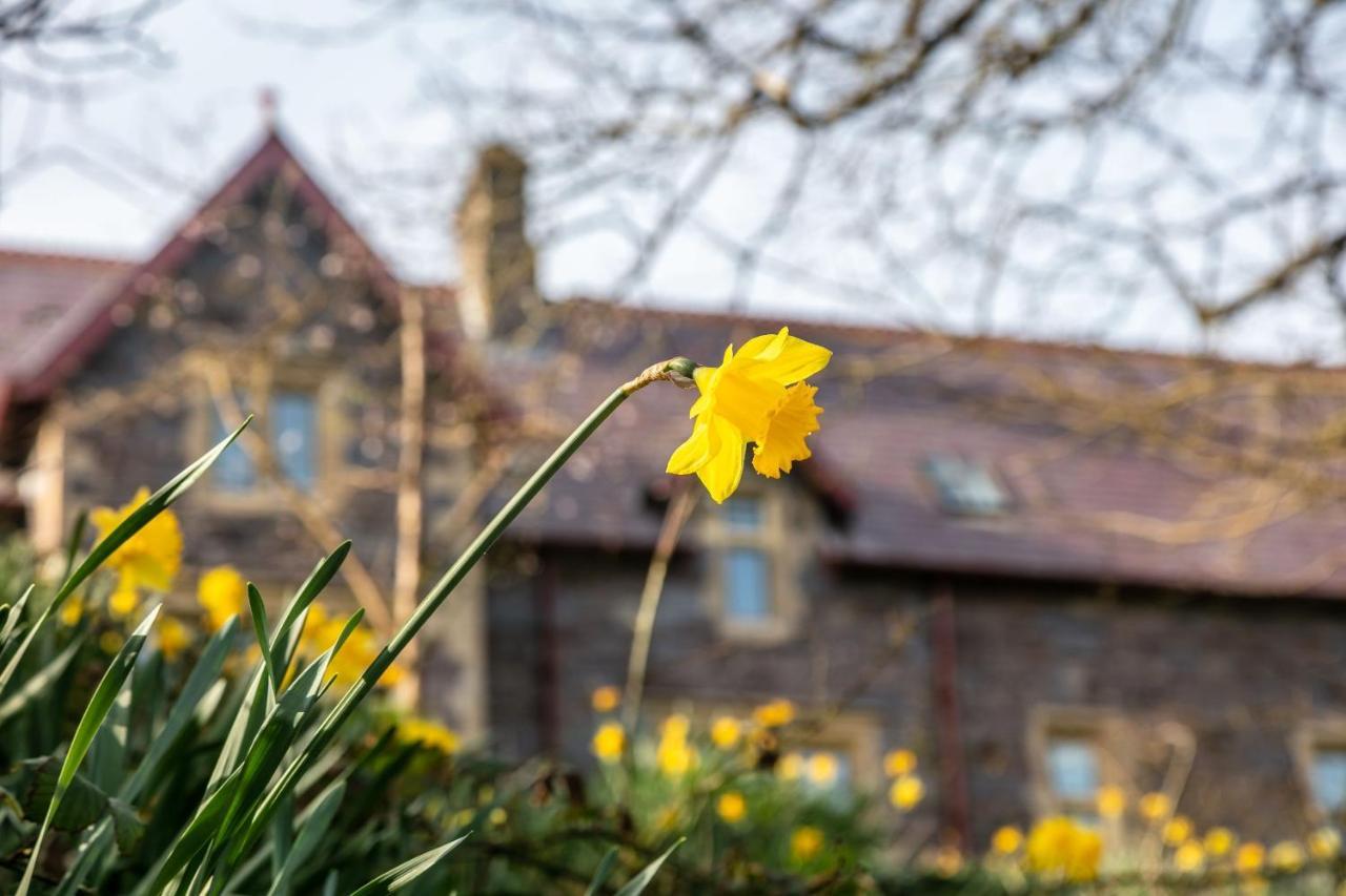 Penrhiw Priory Hostal Saint David's Exterior foto