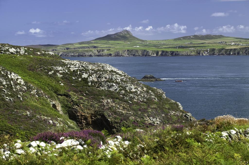 Penrhiw Priory Hostal Saint David's Exterior foto